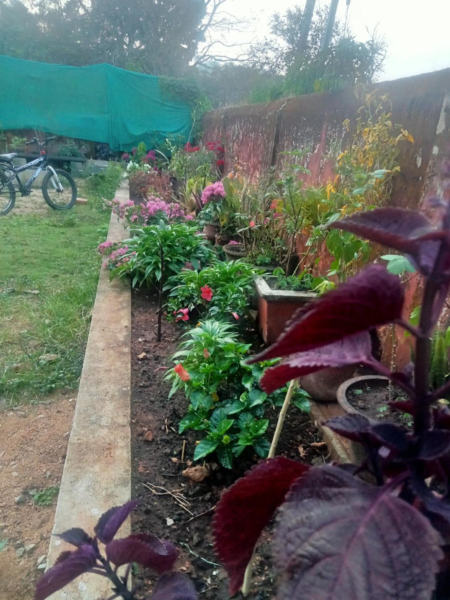 Eshwarkrupa Homestay Мадикери Екстериор снимка