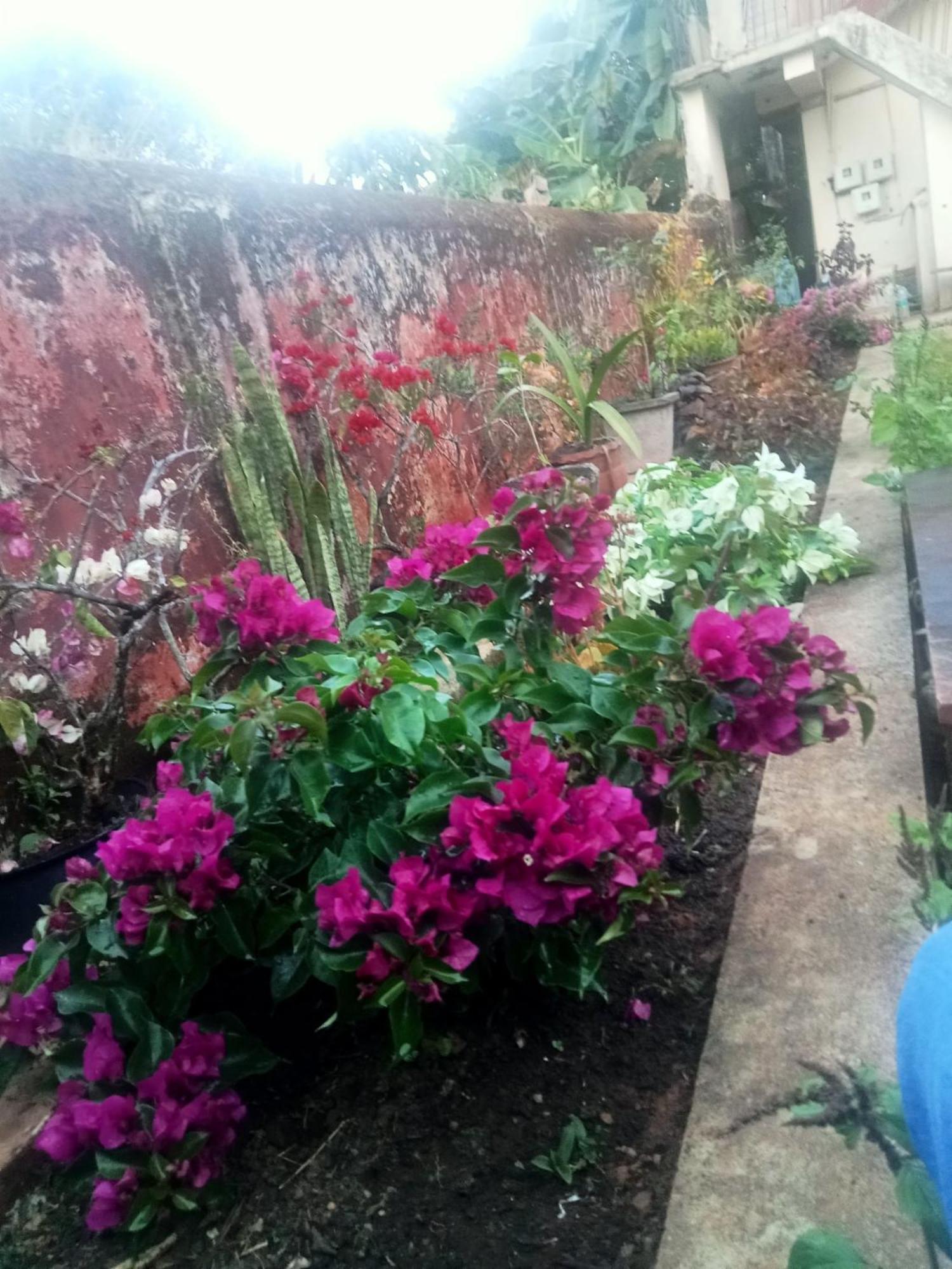 Eshwarkrupa Homestay Мадикери Екстериор снимка